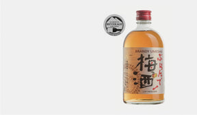 Shin Brandy Japanese Umeshu 500ml