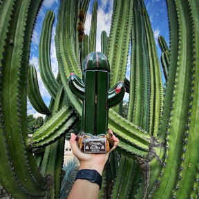 La Cofradia Cactus Reposado Tequila 700ml